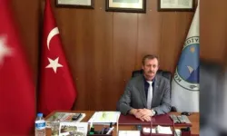 Melek Mosso konseri istifa getirdi