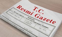 Resmi Gazete'de yayımlandı: 17 bakanlıkta 68 bakan yardımcısı belli oldu