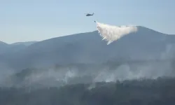 Çanakkale'deki yangın kontrol altına alındı