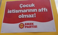 Gebze'de mahkeme istismarı akladı,  EMEP tepki gösterdi