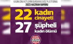 Haziran’da 22 kadın katledildi, 27 kadın şüpheli bir şekilde yaşamını yitirdi
