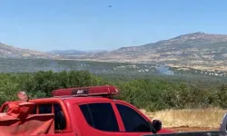 Diyarbakır Lice'de çıkan orman yangınına müdahale ediliyor