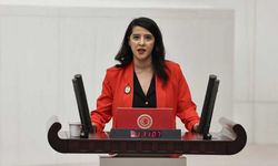 Sevda Karaca, Eruslu işçilerinin sorunlarını Meclise taşıdı: Patron hükümete yakın diye mi denetim yapılmıyor?