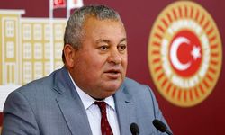 Cemal Enginyurt: Fatih Terim tefecilikten içeri alınmalı