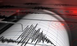 Gümüşhane'de 4.1, Erzincan'da ise 3.7 büyüklüğünde deprem