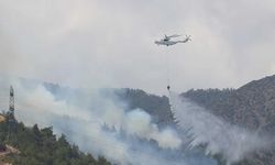Hatay'da orman yangını çıktı