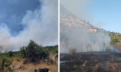 Lice’de çıkan yangın yerleşim yerlerine doğru ilerliyor: Müdahale yetersiz