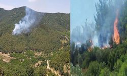 Muğla ve Hatay'da orman yangını