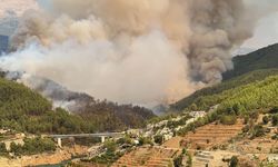 Alanya'da orman yangını: 17 ev boşaltıldı
