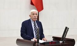 YSP’li Cengiz Çandar’dan Meclis’te 'Selahattin Demirtaş' mesajı