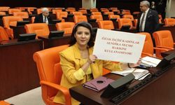 EMEP’li Karaca'dan AKP'li vekillere: Ağzınızı Özak Tekstil işçileri için açabilecek misiniz?