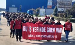 Birleşik Metal-İş üyesi Erciyas işçileri greve çıktı