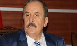 Eski Bakan Ensarioğlu’ndan, Efkan Ala ve Leyla Zana’ya destek