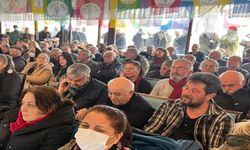 DEM Parti Dersim'de ön seçim yaptı: Kadın eşbaşkan adayı belli oldu