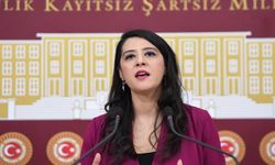 EMEP’li Karaca: Tecrit uygulanan Y ve S tipi cezaevlerinde işkence var!