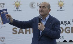 Süleyman Soylu, Fenerbahçe başkanlığı iddialarına açıklama