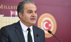 EMEP’li Bayhan’dan komisyon raporunda “Kürt sorunu” ifadesinin yer almamasına tepki: Sorunun adı bile yok