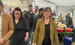 Meral Danış Beştaş: 'Oyumuz hiç kimseye değil'