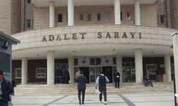 Suruç'ta DEM Parti İlçe Eşbaşkanının da arasında olduğu 17 kişi tutuklandı