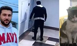 Savcıdan kedi Eros’u katleden İbrahim Keloğlan’ın cezasına itiraz