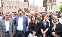 DEM Parti'den, Birecik Belediye Başkanı Belgit'e istifa çağrısı