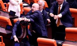 Meclis'te AKP’ililerin saldırısına uğrayan DEM Partili Bozan: Geri adım atan namerttir