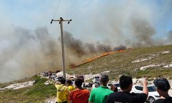 Çeşme'deki orman yangınında 3 kişi hayatını kaybetti