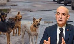 AKP'li Kirişci: Haniye'nin ölümünü kınamayanların köpek sevgisinden söz etme hakları yoktur