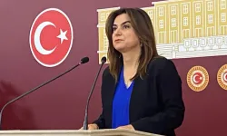 DEM Parti'den 'Kayyım' kararı: TBMM çalışmalarına katılmayacaklar