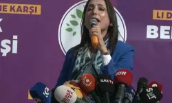 DEM Parti grubu Mardin'de: Kayyım darbesini geri püskürteceğiz