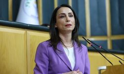 DEM Parti'den yeni 'Öcalan' açıklaması: 'Ülkenin kaderini değiştirebilecek tarihi bir çağrı yapacak'