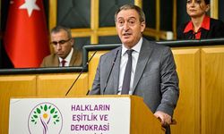 DEM Partili Bakırhan'dan 'İmralı' açıklaması: Çağrı görüntülü mü olacak?