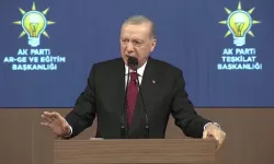 Erdoğan'dan 'süreç' açıklaması: 'Erdoğan ve Bahçeli ne yapıyorsa huzurumuz için yapıyor diyeceksiniz'