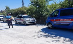 Hayvan parkından kaçarak 1 kişiyi yaralayan aslan öldürüldü