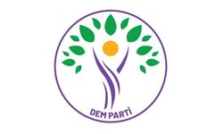 PKK'nin silah bırakma töreninin ardından DEM Parti'den açıklama