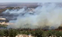 Mardin ve Şırnak'ta orman yangını