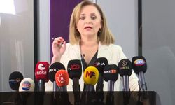 DEM Parti Sözcüsü Doğan: 30 yıllık cezasını tamamlayan 33 hükümlü hâlâ tahliye edilmedi