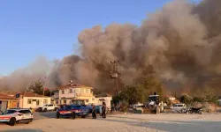 Çanakkale’de orman yangını: 2 köy tahliye edildi