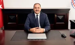 Sahte diploma skandalının ardından Bakan yardımcısı 10 diplomasının 4'ünü sildi!