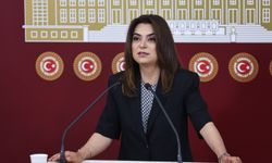 DEM Parti’den açıklama: Süreç komisyonu toplantıları basına kapalı mı olacak?