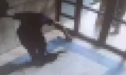 İstanbul’da kediyi işkenceyle öldüren kişi tutuklandı