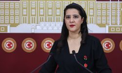 EMEP'li Karaca: Kürt sorununun çözümü somut adımlarla mümkün