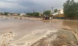 Van’da sel felaketi: DSİ’ye ihmal, kayyıma geç müdahale tepkisi