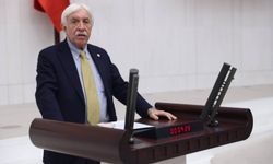 DEM Parti’li Cengiz Çandar: Süreç topluma inemedi, bu yüzden güven yok