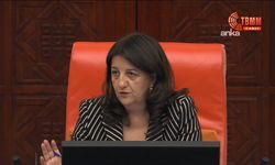 DEM Partili Pervin Buldan: Abdullah Öcalan, Silahsızlanma ve Siyasallaşma Alt Kurulu'nda görev alacak