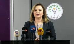 DEM Parti: İmralı Heyeti yarın Öcalan ile görüşecek