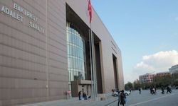 Başsavcı adliyede kedi istemiyormuş!