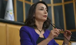 Hatimoğulları: Kürt deyince sandık, barış deyince oy çizelgesi hayal etmek siyasetsizliktir