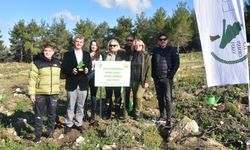 HomeSasalı Hatıra Ormanında Fidanlar toprakla buluştu