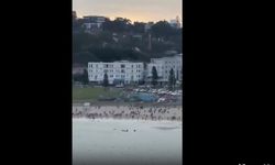 Avustralya’nın Sydney’de Bondi Plajı’nda silahlı saldırı: 12 ölü, 16 yaralı